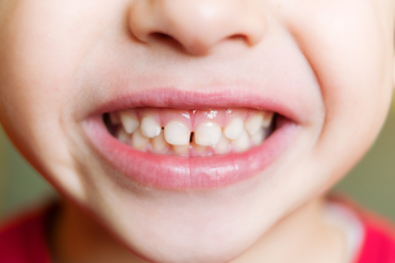 dentist Weston